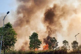 Đám cỏ khô bốc cháy, uy hiếp khu dân cư ở TP Thủ Đức