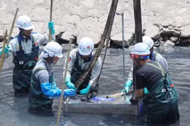 Lại um sùm việc làm sạch sông Tô Lịch bằng công nghệ Nhật Bản