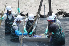 Lại um sùm việc làm sạch sông Tô Lịch bằng công nghệ Nhật Bản