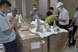 Bắt 55 khúc sừng tê giác tại sân bay Nội Bài