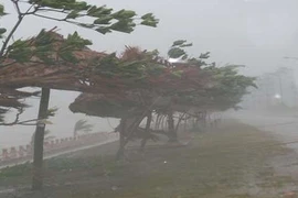 Quan sát hướng gió đoán bão