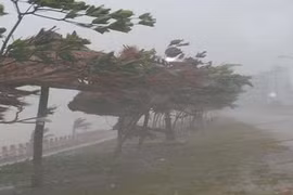 Quan sát hướng gió đoán bão