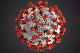 Sự thực thông tin SARS-CoV-2 tích hợp vào gene người