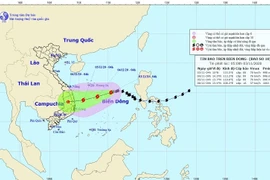 Bão số 10 di chuyển chậm, tăng cấp nhẹ khi vào gần bờ biển Quảng Ngãi - Khánh Hòa