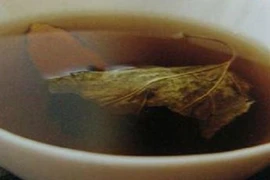 Uống nước lá dâu trị biến chứng tiểu đường