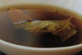 Uống nước lá dâu trị biến chứng tiểu đường