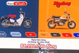 Honda Monkey và Super Cub C125 ra mắt thị trường Việt Nam