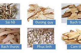 Chứng can mộc khắc tỳ thổ trong Đông y