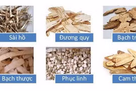 Chứng can mộc khắc tỳ thổ trong Đông y