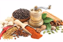 Thuốc bổ khí huyết trị tỳ hư