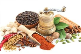 Thuốc bổ khí huyết trị tỳ hư