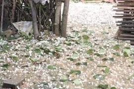 Các dạng mưa đá