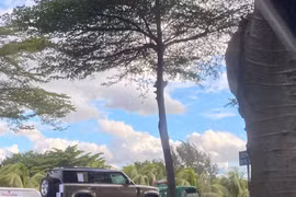 "Tóm gọn" Land Rover Defender thế hệ mới tại Việt Nam, chuẩn bị cho lễ ra mắt vào ngày mai?