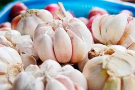 Thực phẩm bổ gan