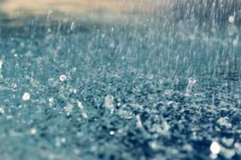 Tác hại của mưa axit