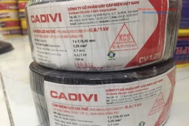 Cadivi vay hàng nghìn tỷ đồng không thế chấp tài sản, khả năng thanh khoản ngắn hạn không có