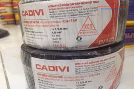 Cadivi vay hàng nghìn tỷ đồng không thế chấp tài sản, khả năng thanh khoản ngắn hạn không có