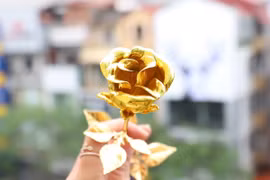 Quốc tế Phụ nữ: Hoa hồng mạ vàng 24k “đắt khách”