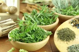 Ăn uống + tập luyện + sinh địa bát vật = ổn định đường huyết