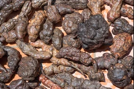 Món ăn đầu bảng khắc phục bạc tóc 