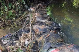 Xin lỗi, cấp miễn phí một tháng: Nước sạch sông Đà hết trách nhiệm?