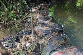 Xin lỗi, cấp miễn phí một tháng: Nước sạch sông Đà hết trách nhiệm?