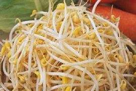 Giá đỗ làm tăng hấp thu protein lên đến 65%