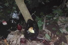 Cháu bé được bỏ trong túi nilon màu đen, không mảnh vải che thân ngày mùng 1 Tết.