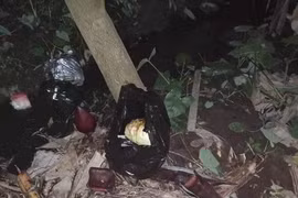 Cháu bé được bỏ trong túi nilon màu đen, không mảnh vải che thân ngày mùng 1 Tết.