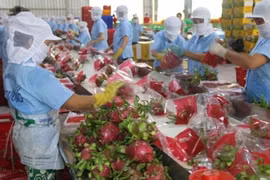 EU thay đổi quy định với nông sản nhập khẩu