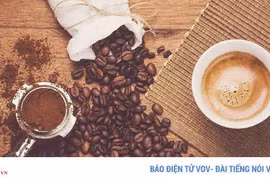 8 loại thực phẩm không nên bỏ vào tủ lạnh