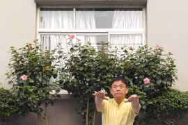 Tập chèo thuyền chữa bệnh đau nhức