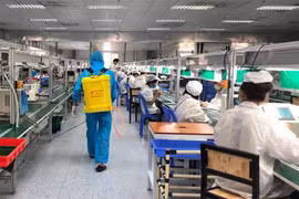 9 doanh nghiệp ở Bắc Giang được hoạt động trở lại