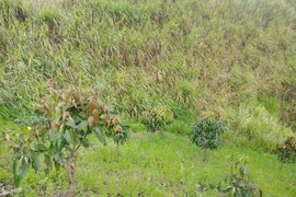 Sơn La: Phát hiện thi thể nam sinh lớp 8 mất tích với nhiều vết đâm