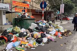 Từ ngày 25/8, không phân loại rác sinh hoạt bị phạt đến 1 triệu đồng