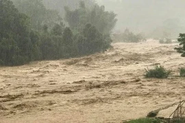  Quy định mực nước tương ứng với các cấp báo động lũ 