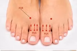 Xoa bấm ngón chân cái trị huyết áp cao