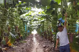 Không có ưu đãi thuế cho nông sản của doanh nghiệp Việt đầu tư tại Campuchia