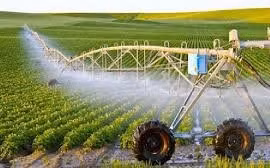 Ứng dụng chuyển đổi số cho nông nghiệp Việt