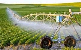 Ứng dụng chuyển đổi số cho nông nghiệp Việt