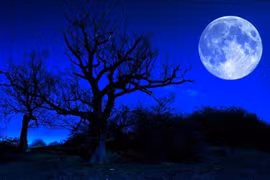 “Bí ẩn” Mặt trăng xanh vào ngày Hallowen