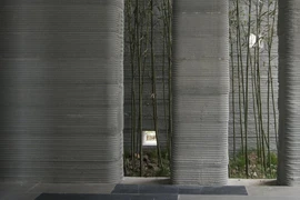 Ảnh minh họa Matjazz/Shutterstock