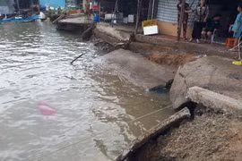 ĐBSCL có gần 60 điểm sạt lở ven biển