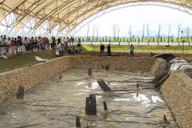 Công nghệ nào bảo tồn bãi cọc Bạch Đằng?