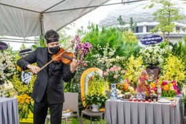 Bên mộ nhạc sĩ Phú Quang, Bùi Công Duy kéo đàn "Em ơi Hà Nội phố" 