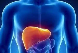 Nhìn trực tiếp hình ảnh xơ gan do rượu