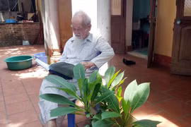 Nhà giáo 86 tuổi tiết lộ 2 nguyên tắc vàng dạy con thành tiến sĩ