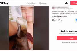 Bán rái cá làm cảnh, thanh niên nhận bản án 18 tháng tù