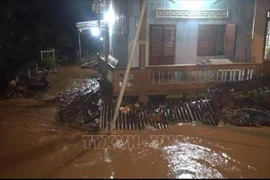 Mưa lớn gây ngập sâu diện rộng ở Bình Phước, có nơi nước dâng cao 2m