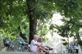 Người già đừng để cớm nắng